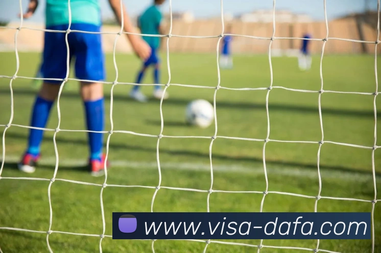 大发彩票平台生态图